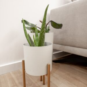 e78c3556-893e-46f0-9697-054ae8ffc04c